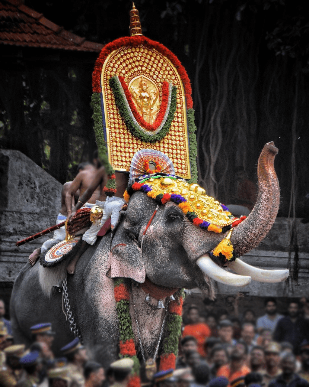 An elephant with nettipattom- kerala handicrafts
